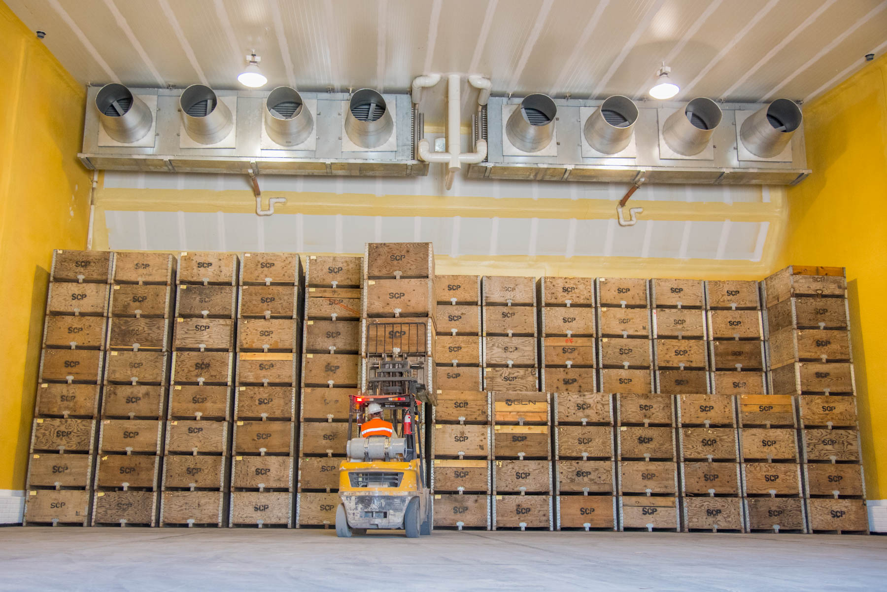 RSE Grupo La Norteñita 10