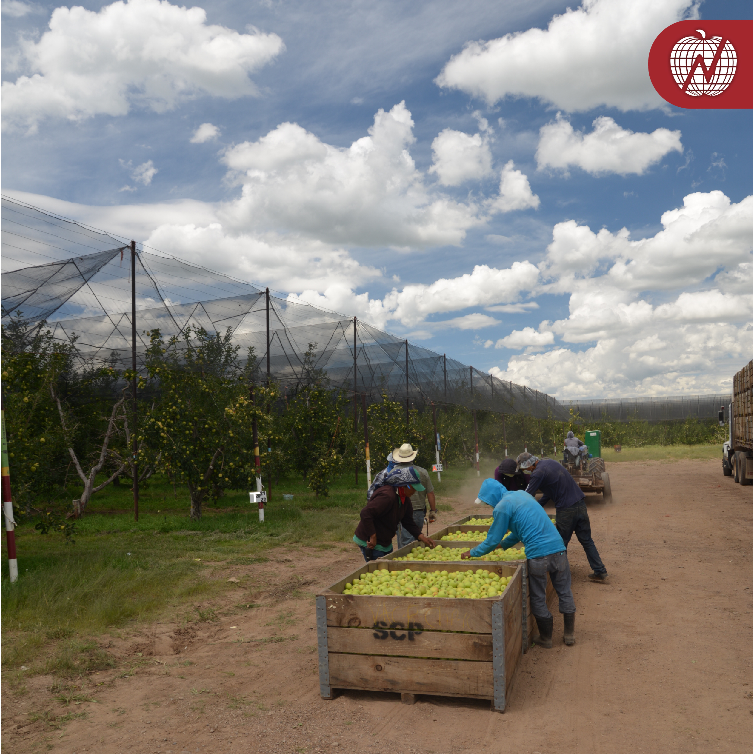 RSE Grupo La Norteñita 19