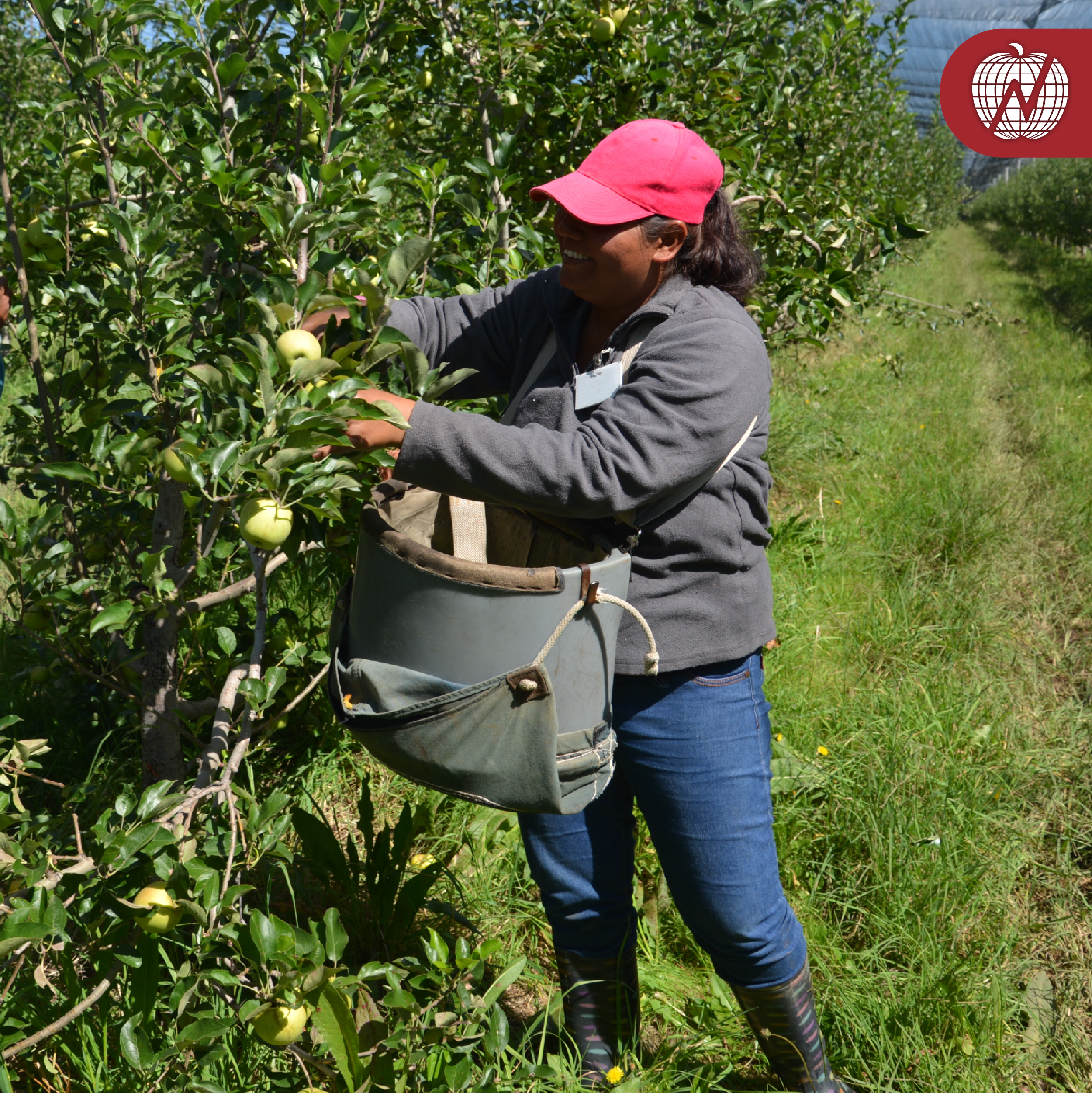RSE Grupo La Norteñita 22
