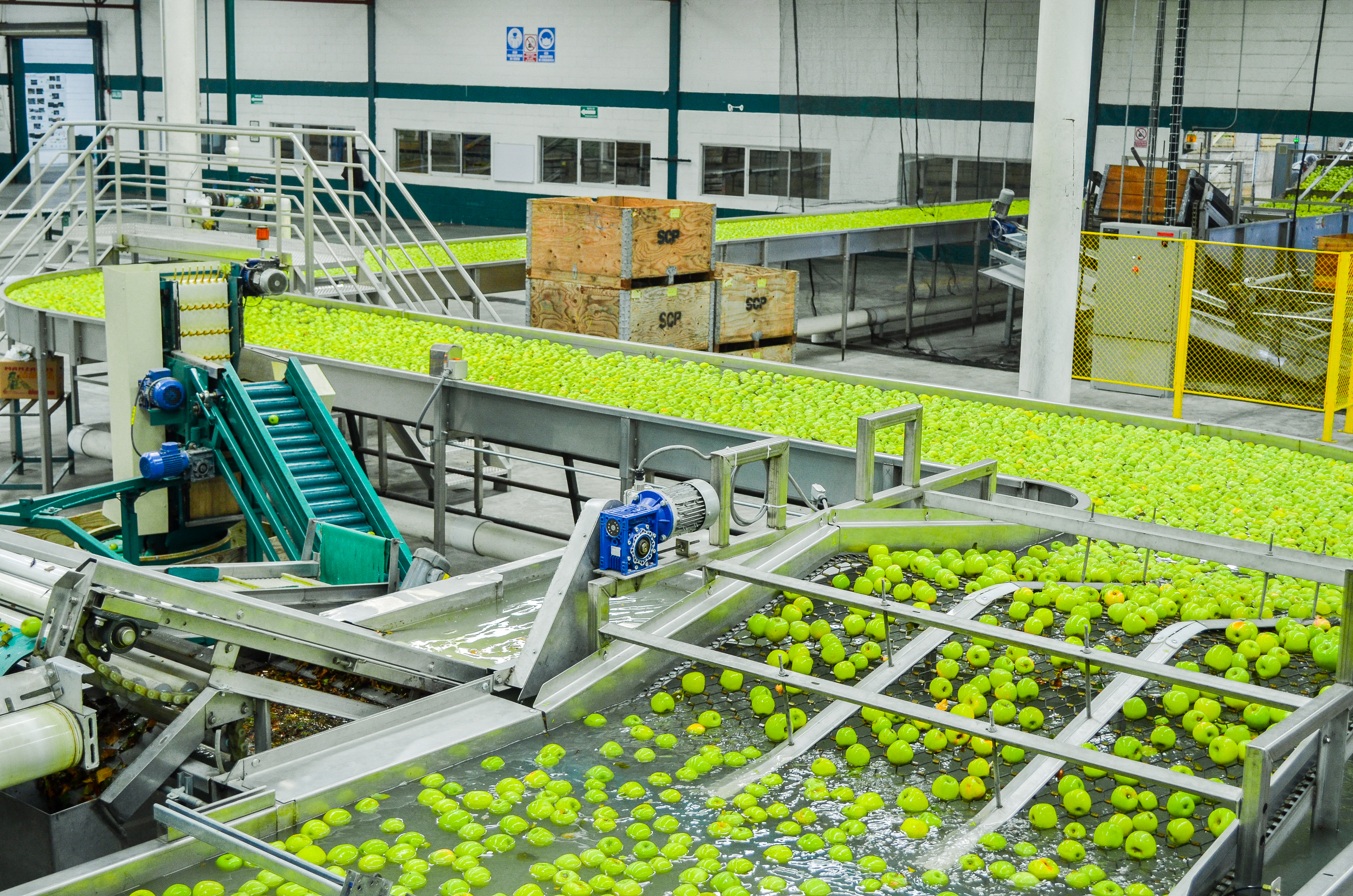 RSE Grupo La Norteñita 7