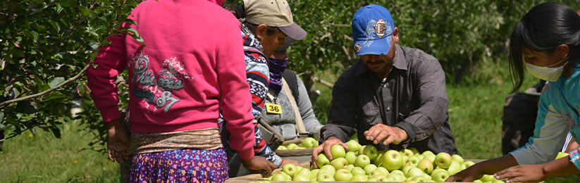 Grupo La Norteñita – Instalaciones